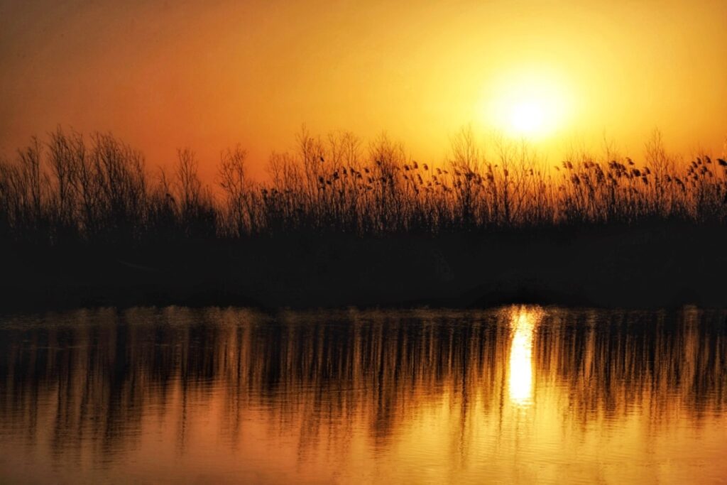 toamna-in-delta-dunarii