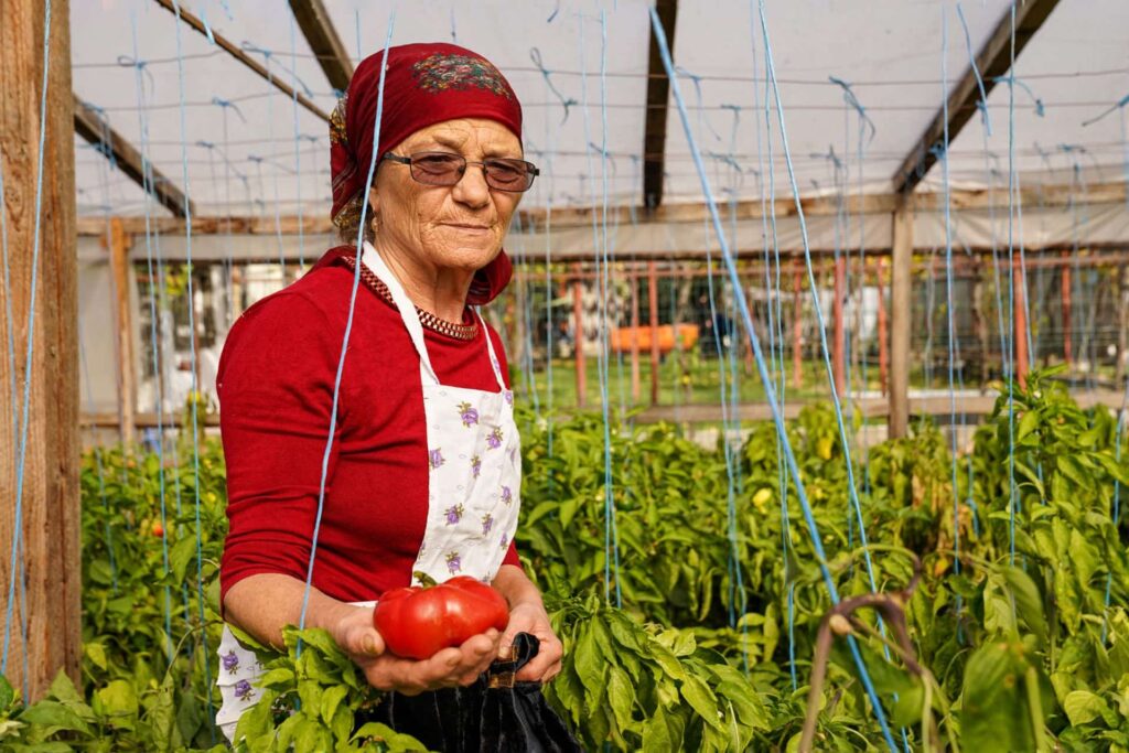 reteta-piperchi-targasiti-elena-migit-armani-stejaru-tulcea