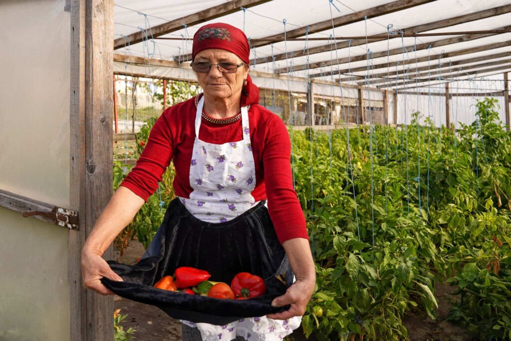 reteta-piperchi-targasiti-armani-stjaru-tulcea-picurarlu-de-la-stejaru