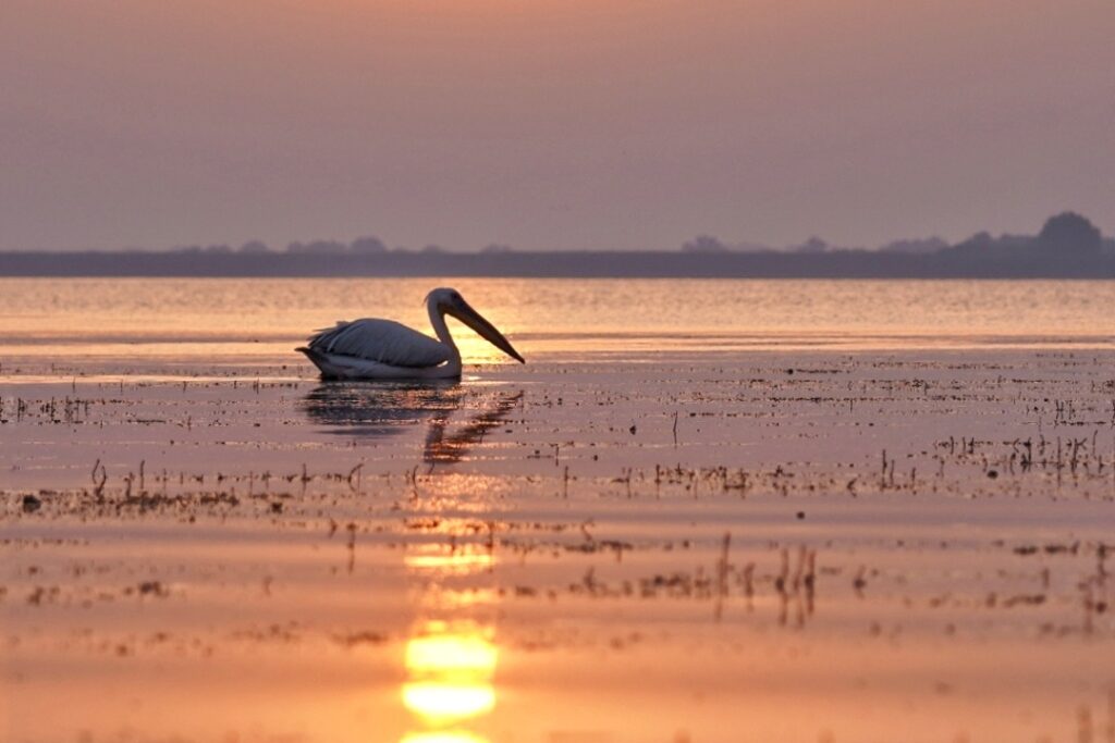descopera-delta-dunarii-rasarit-in-delta-minivacanta-de-1-decembrie