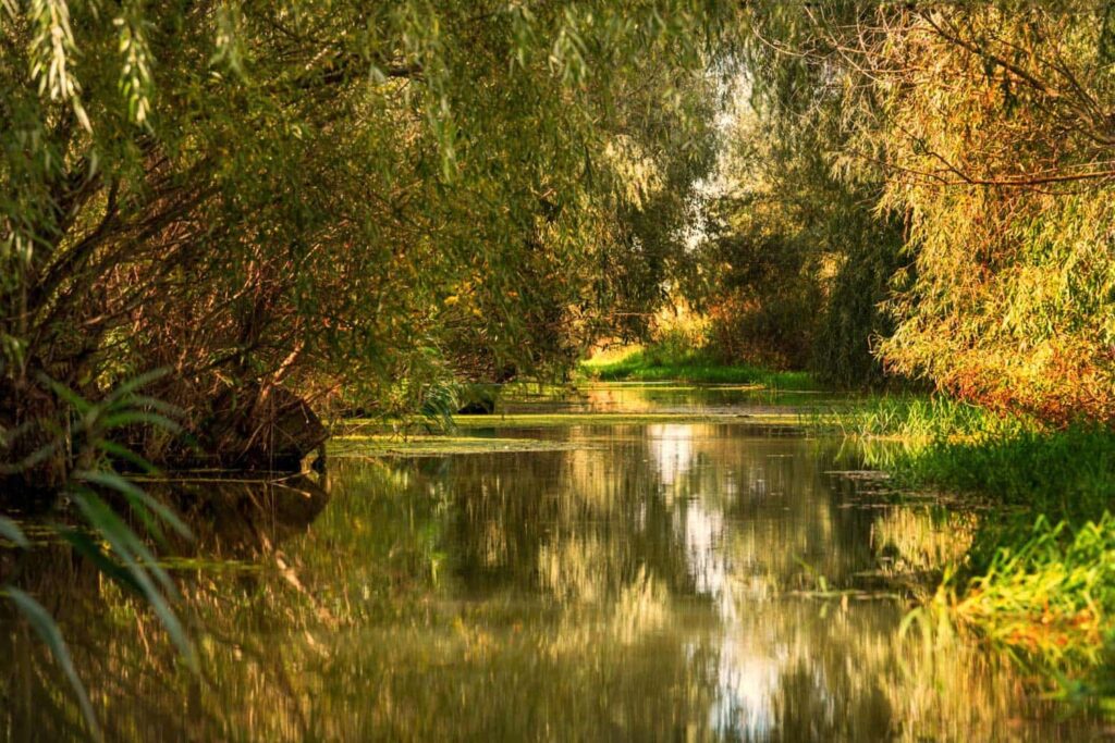Toamna în Delta Dunării pe canale