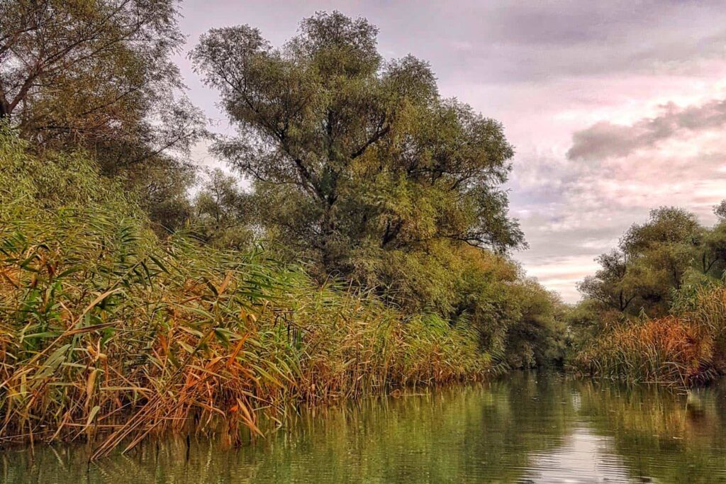Trasee Delta Dunării toamna